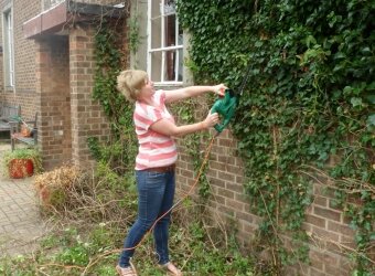 Gardening 3